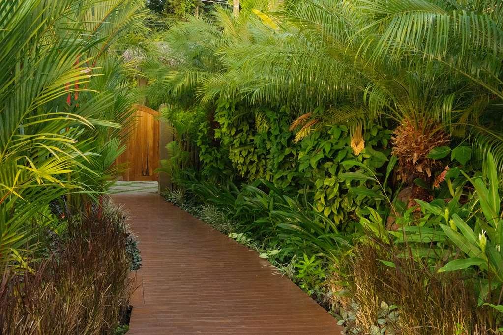 Casa Chameleon Hotel Mal Pais - Adults Only Playa Santa Teresa  设施 照片