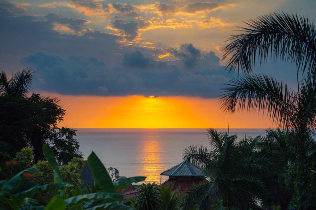 Casa Chameleon Hotel Mal Pais - Adults Only Playa Santa Teresa  设施 照片